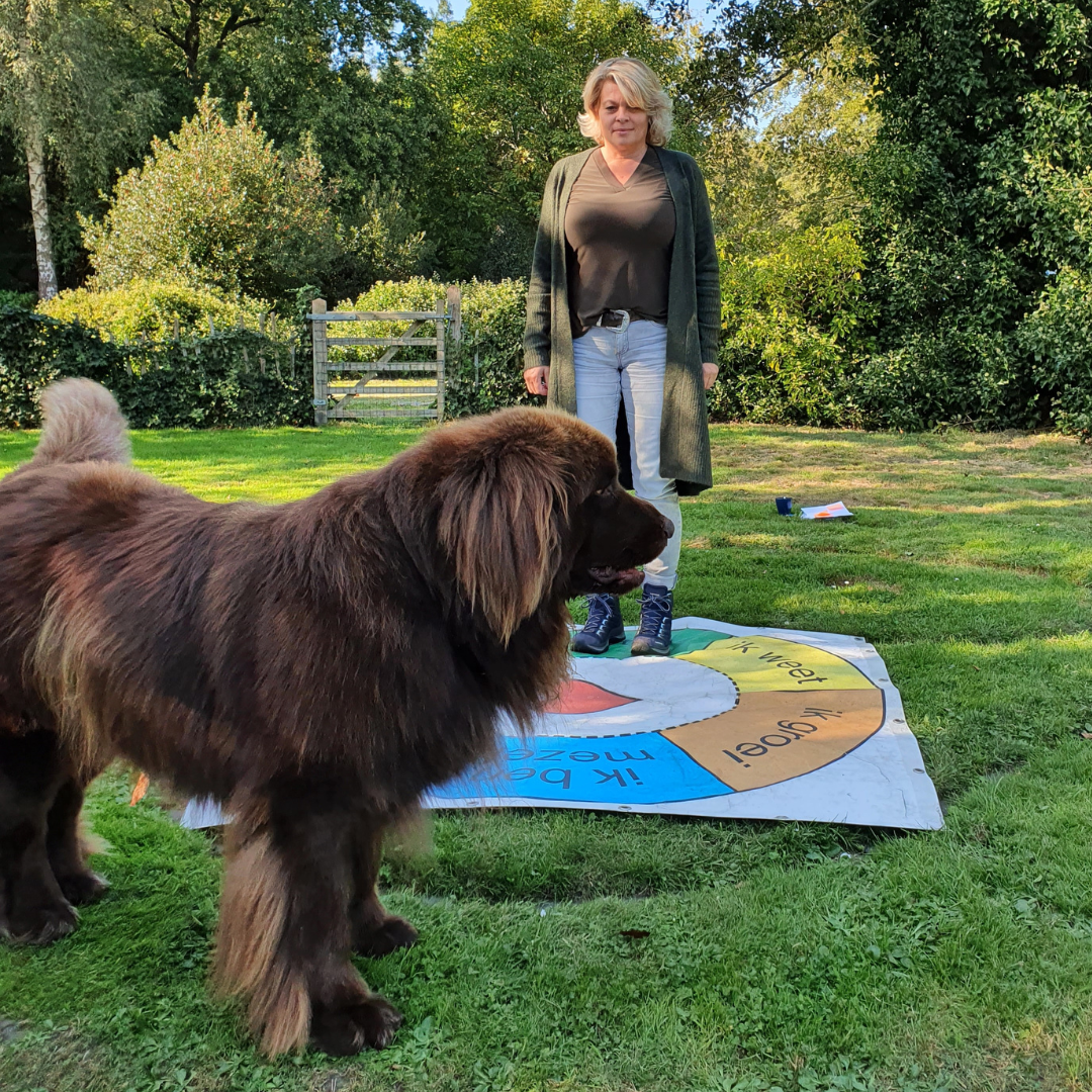 Groei en ontwikkeling