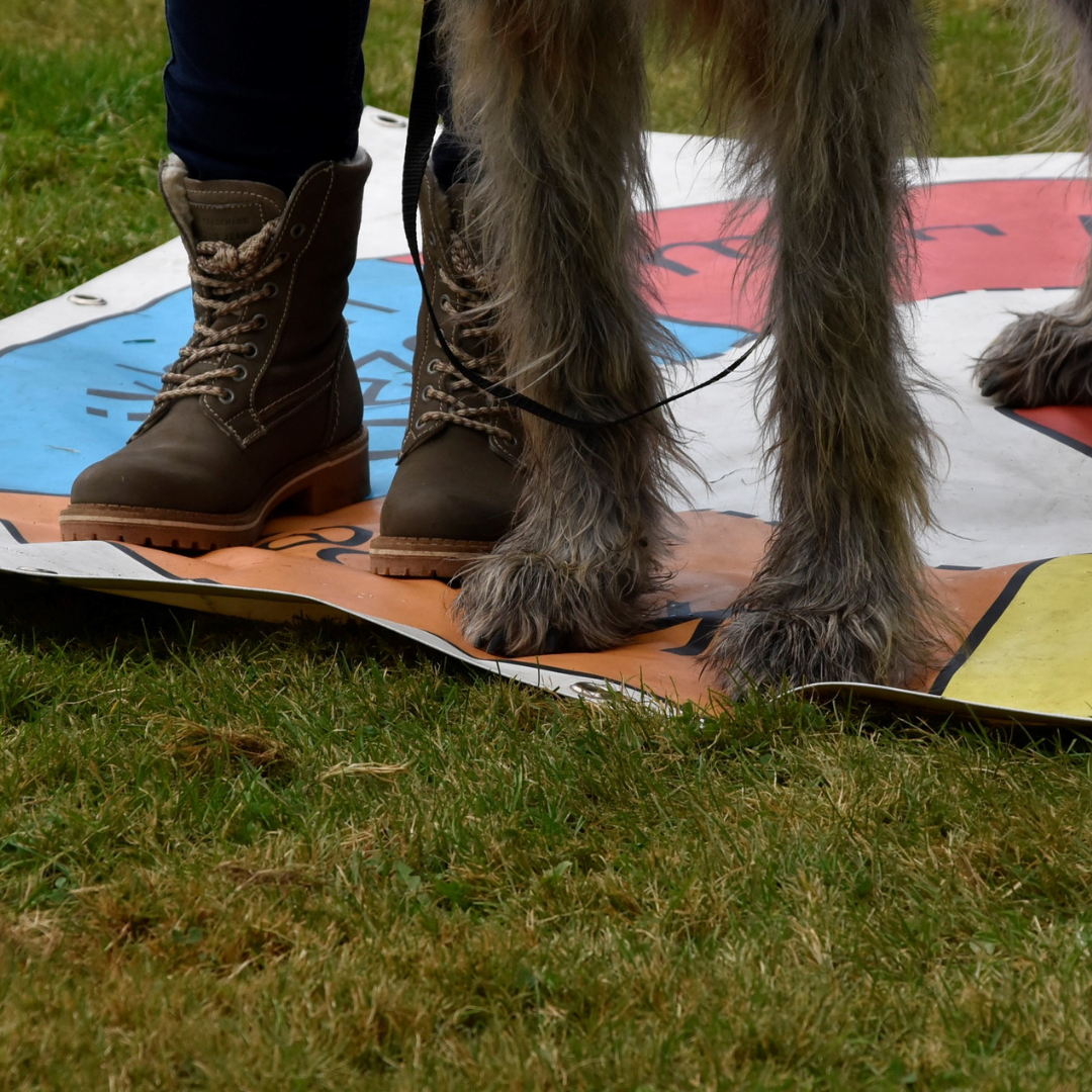 Hond en begeleider staand op een zeil bij HondenSpiegel