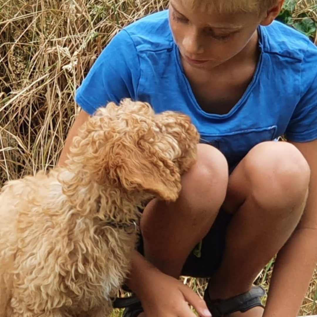 Jij & pup Pup met zijn jonge baasje