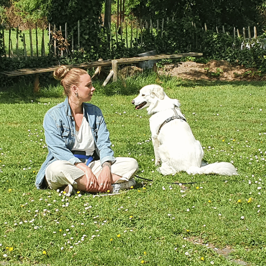 Spiegel eigen hond Cursist met haar hond bij de training De spiegel van je eigen hond bij HondenSpiegel