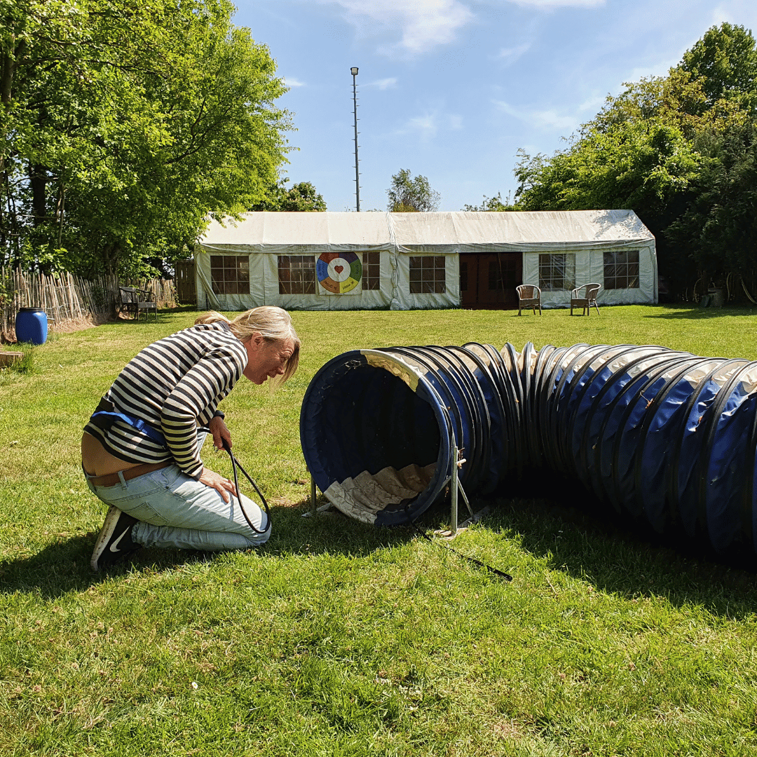 Cursist bij hond in de tunnel tijdens Ontdek de Spiegel van je eigen hond bij Hondenspiegel