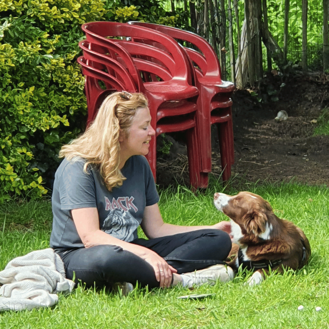 Privesessie met je eigen hond kan ook bij HondenSpiegel