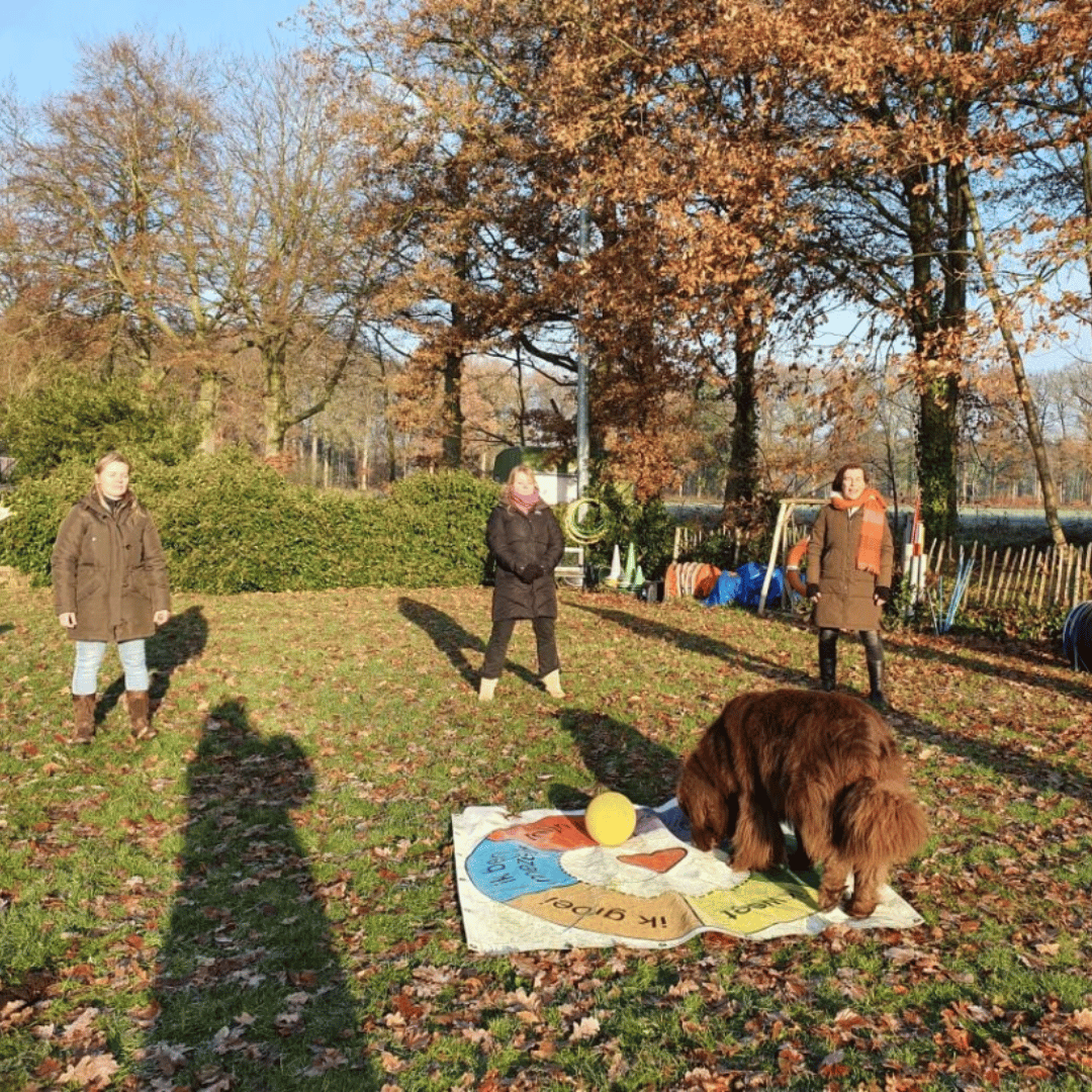 Vertrouwen in jezelf met de CREF Methode bij HondenSpiegel