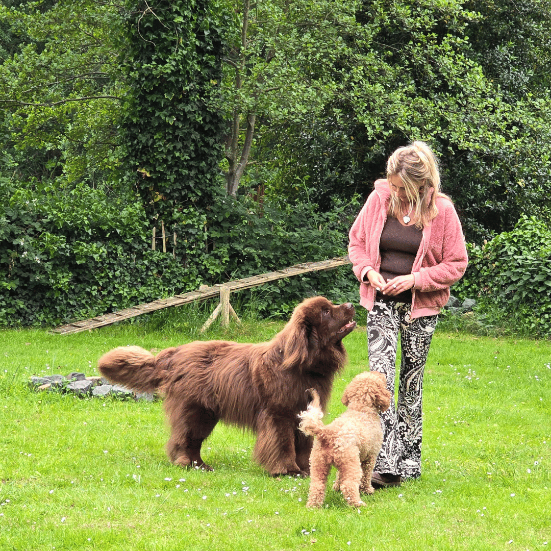 Corien, Marley en Peaches
