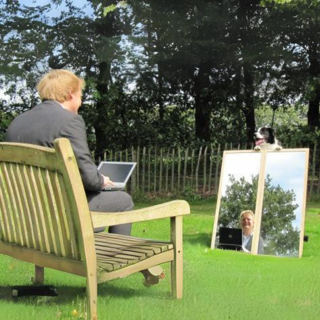 De Spiegel bij HondenSpiegel, voor jou en je bedrijf