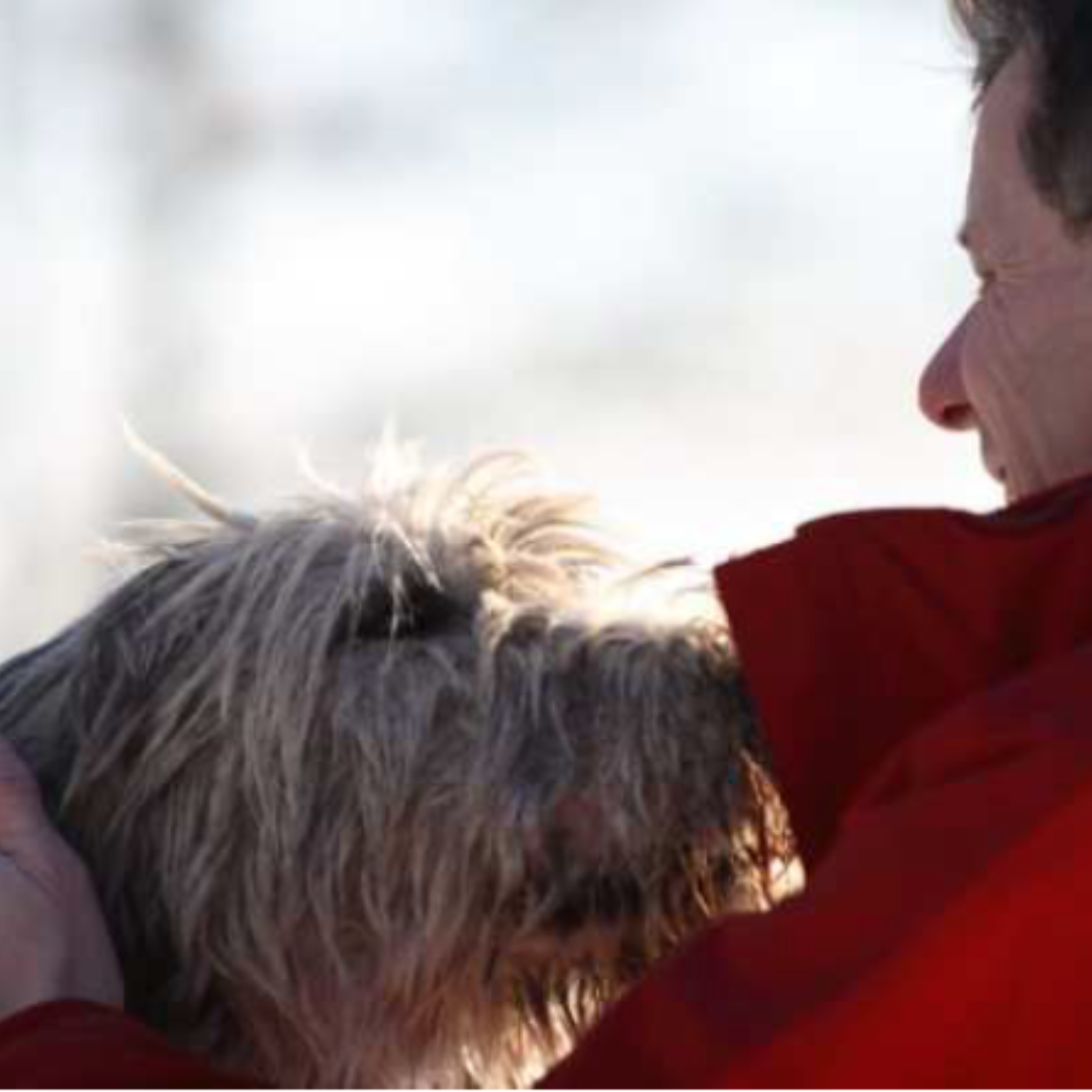 Jan Berenschot in contact met Clanned bij HondenSpiegel