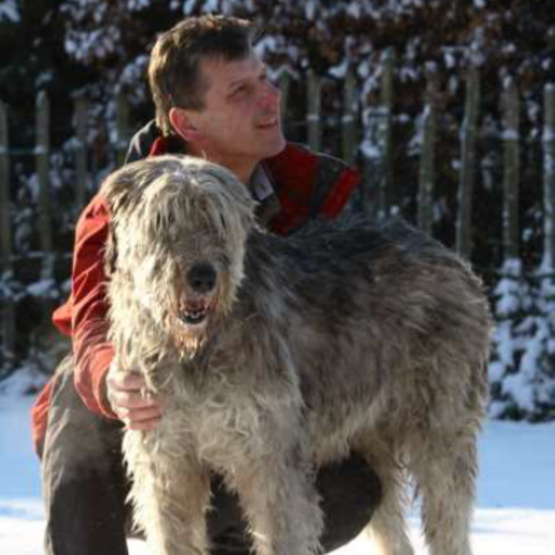 Jan Berenschot aan het werk met Clanned bij HondenSpiegel