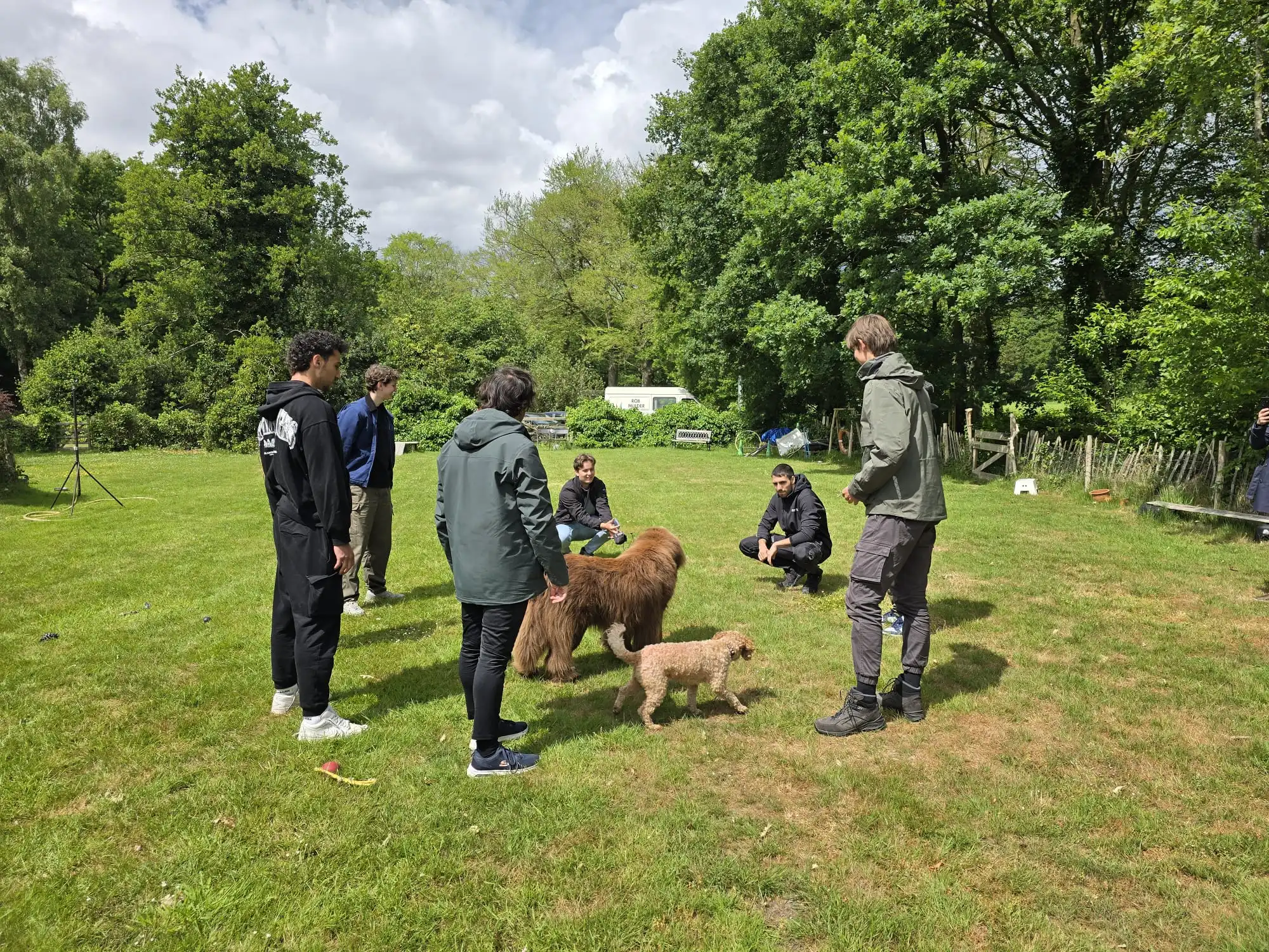 Snuffeldag kringgesprek bij HondenSpiegel