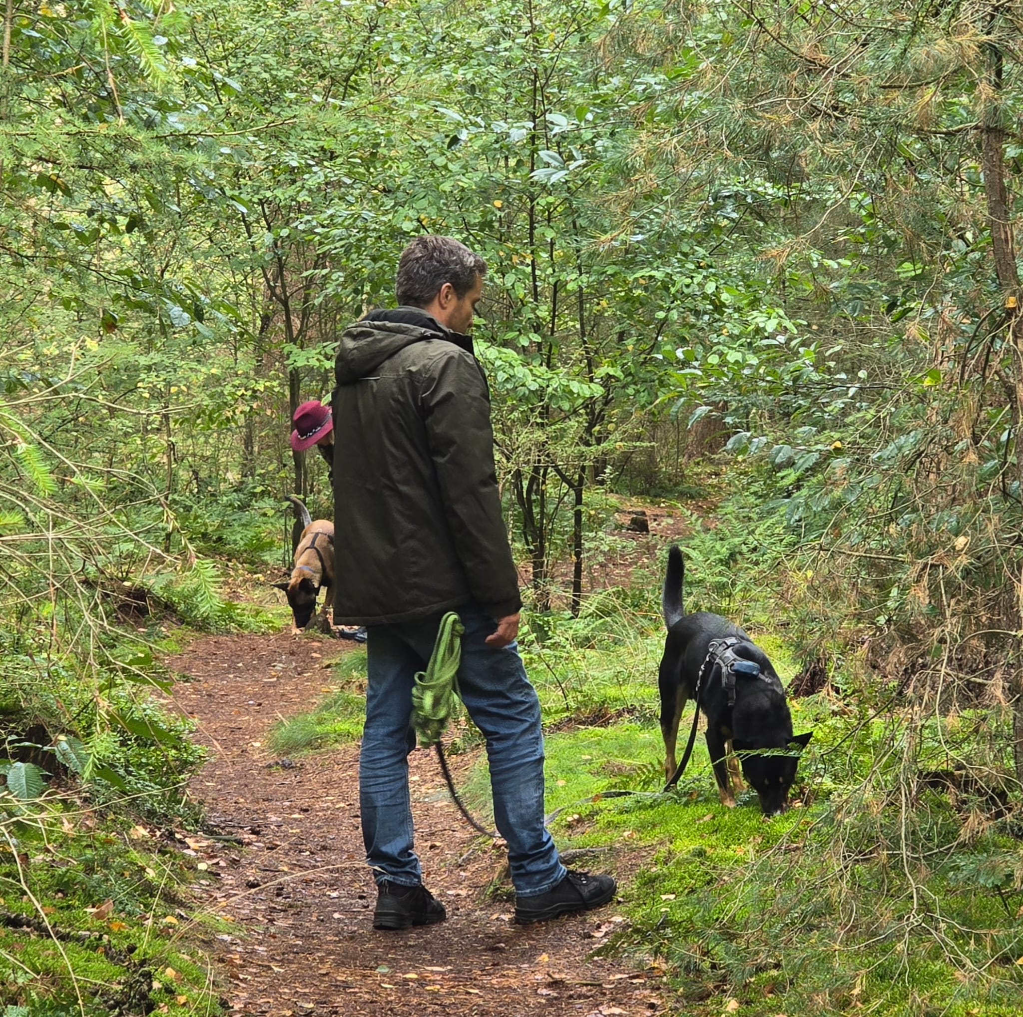 Wandelworkshop Groepslessen bij HondenSpiegel