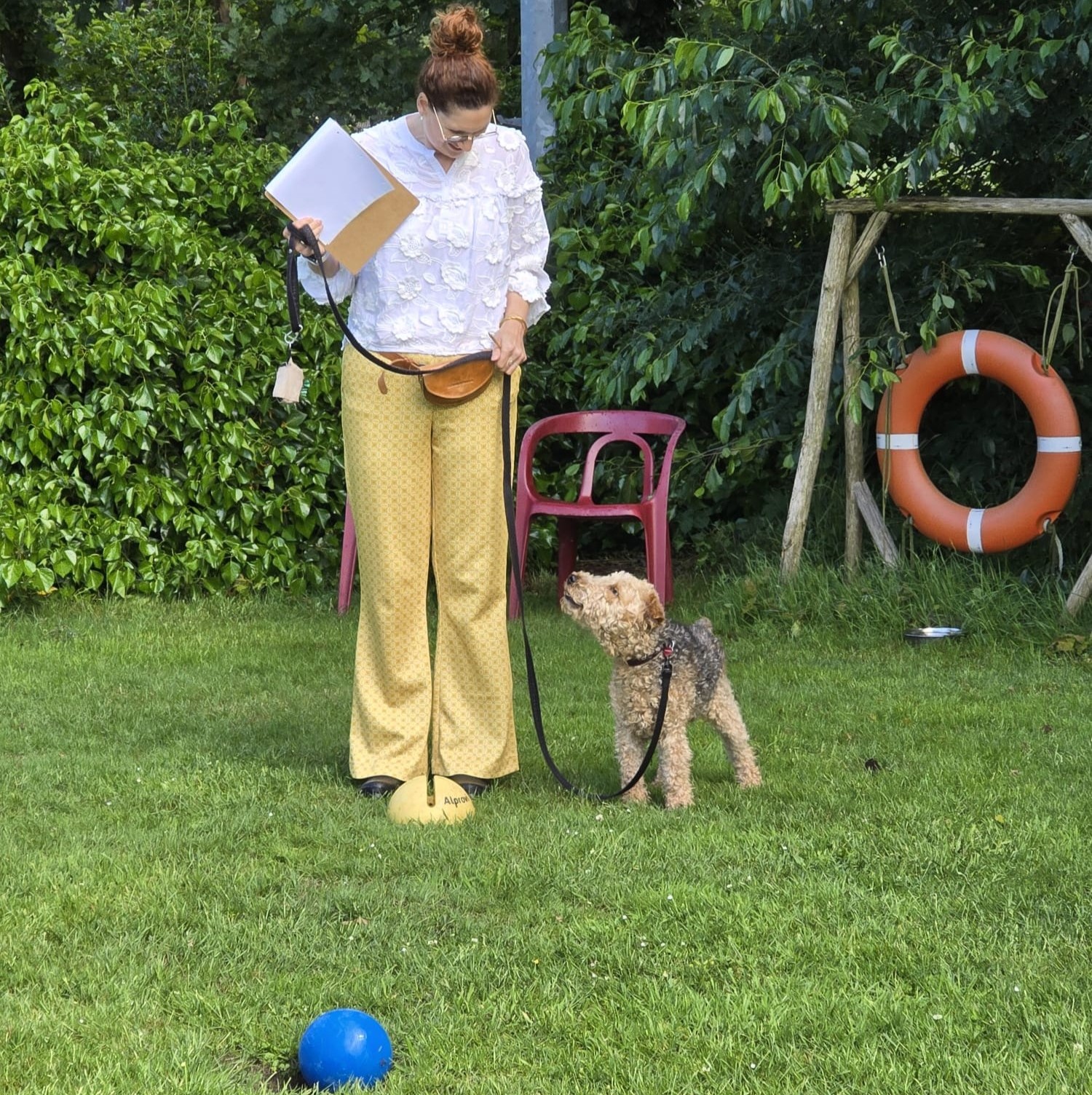 Ontdek de spiegel van je eigen hond bij HondenSpiegel