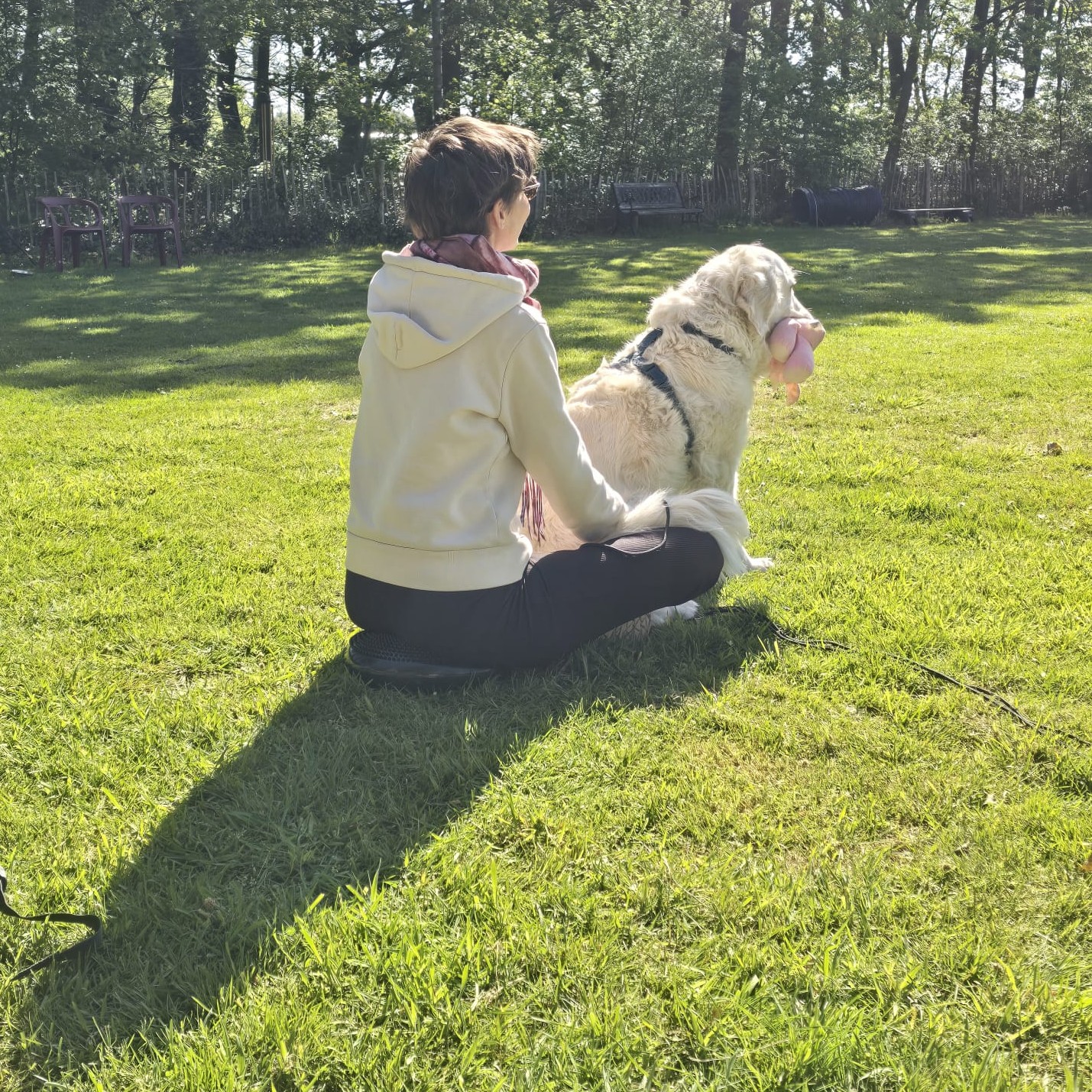Cursist zit met eigen hond ruggelings op bankje bij Ontdek de Spiegel van je eigen hond bij Hondenspiegel